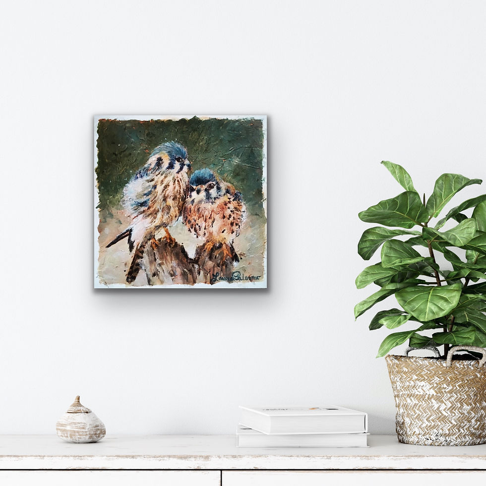 Thumbnail: AMERICAN KESTREL