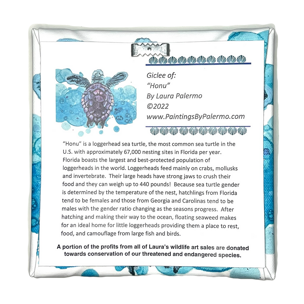 Thumbnail: HONU