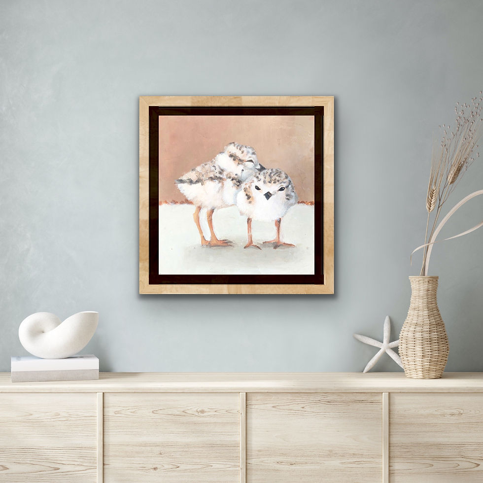 Thumbnail: PIPING PLOVER #2