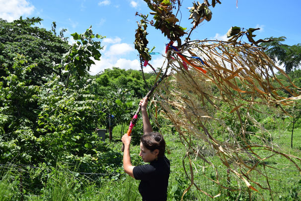 heloise-thiburce-la-liberte-2023