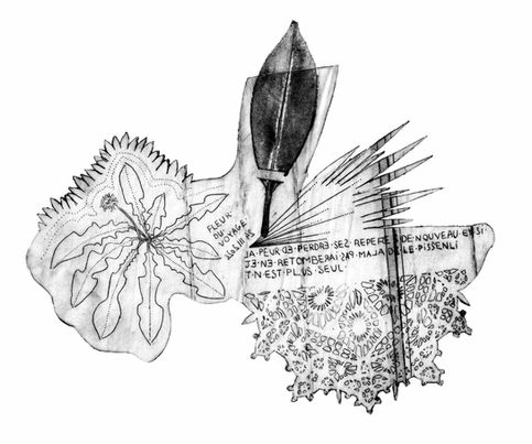 heloise-thiburce-printemps-2026