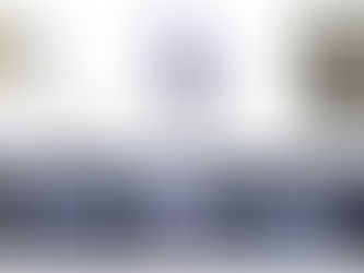 Interactive Structural Topology Optimisation Considering Subjective Preferences