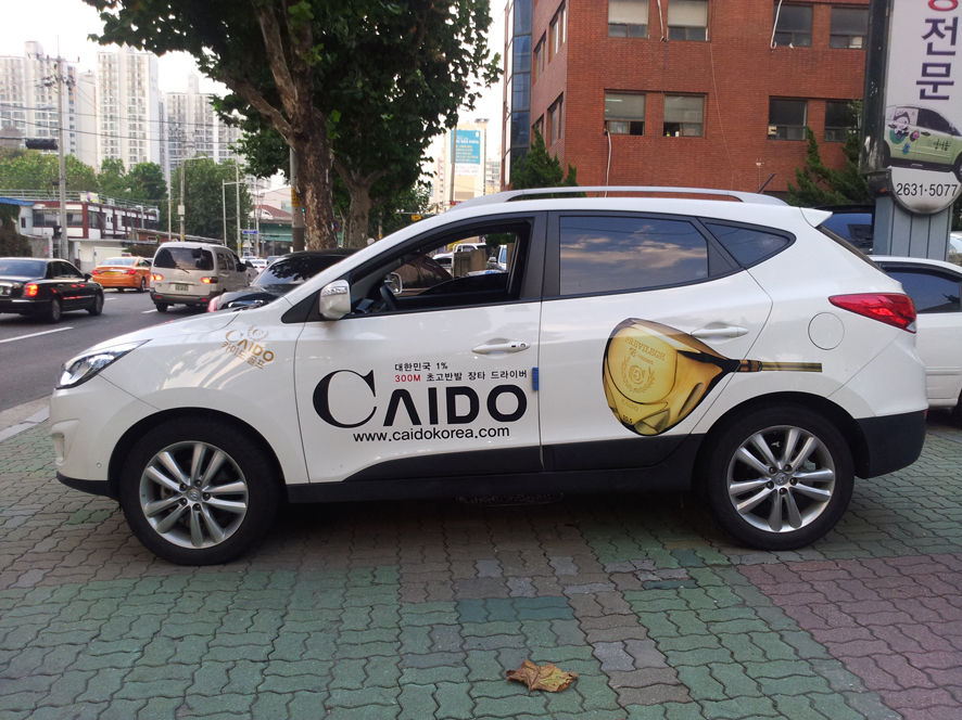 카이도골프(투싼)