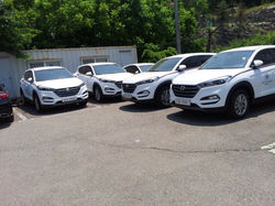 필립모리스 투산1