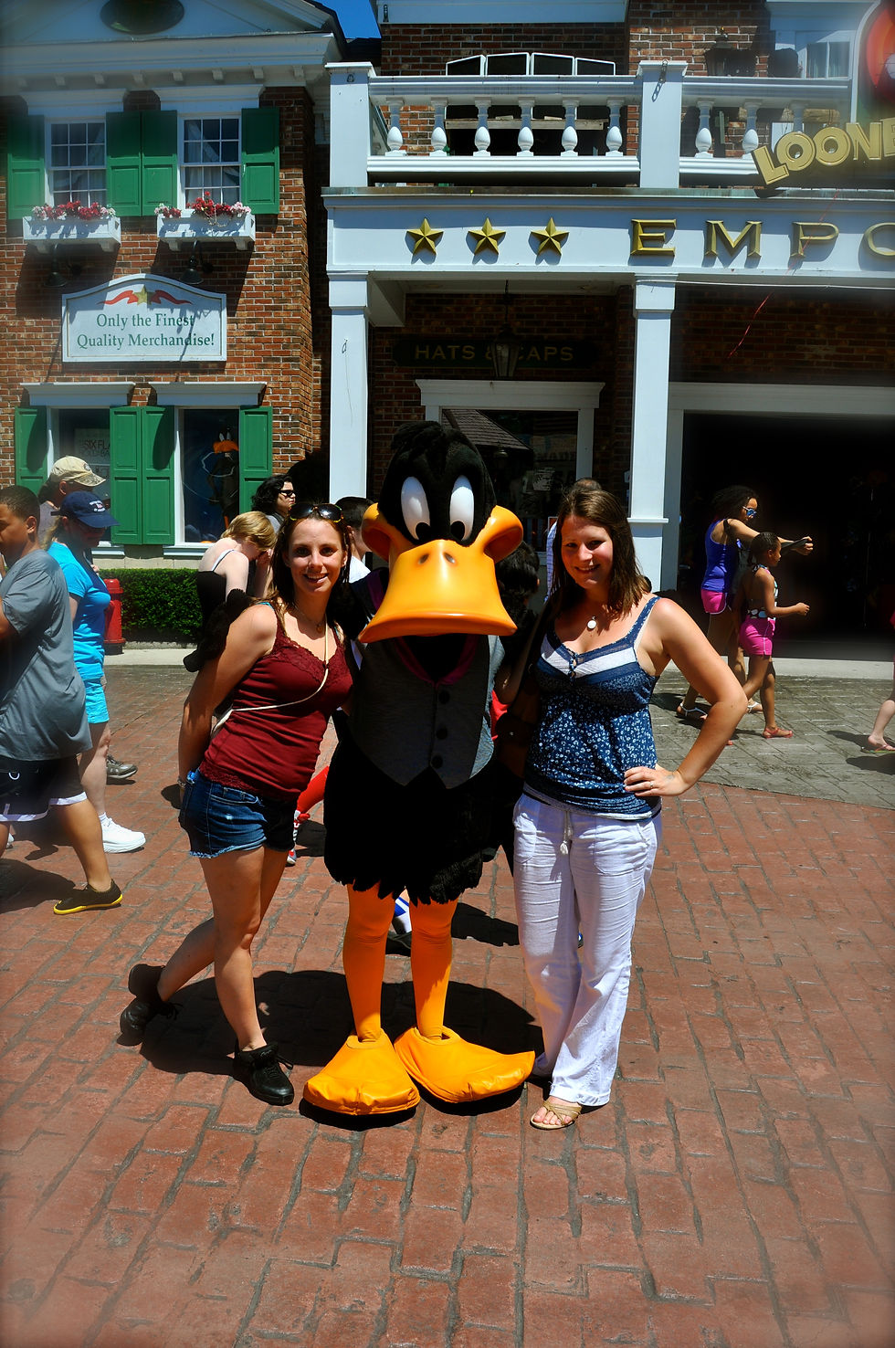 daffy est bien entouré