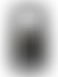 CBD and CBG Softgel: A Beginner's Guide to Understanding Their Differences and Choosing the Right Op