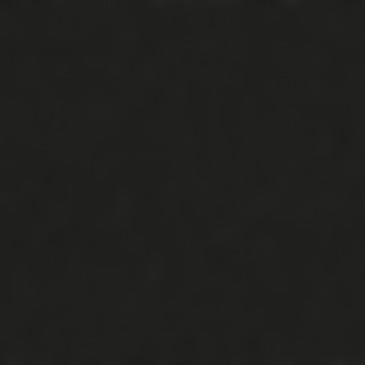Black Noise Texture_edited.jpg