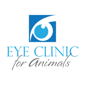 Contact | eyevetsouthsound