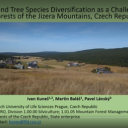 Structural and Tree Species Diversification Challenging Task in Forests of Mountains, Czech Republic