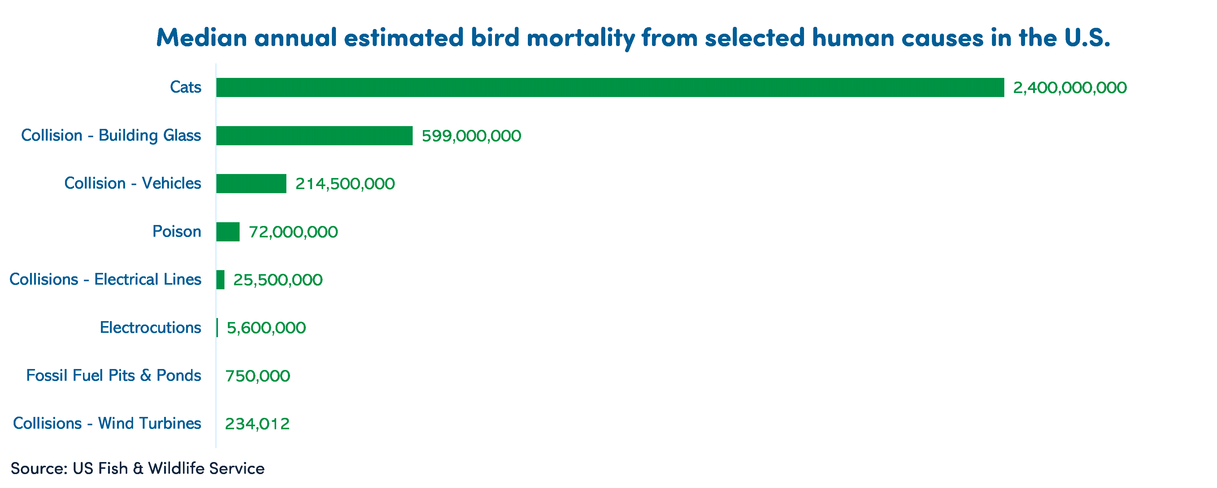 bird mortality stats.png.gif