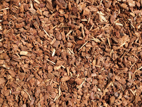 Exploring the benefits of Mulch- Keeping your Landscape Healthy. Landscaping in Carmel, Pebble Beach