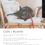 Thumbnail: Cats + Plants