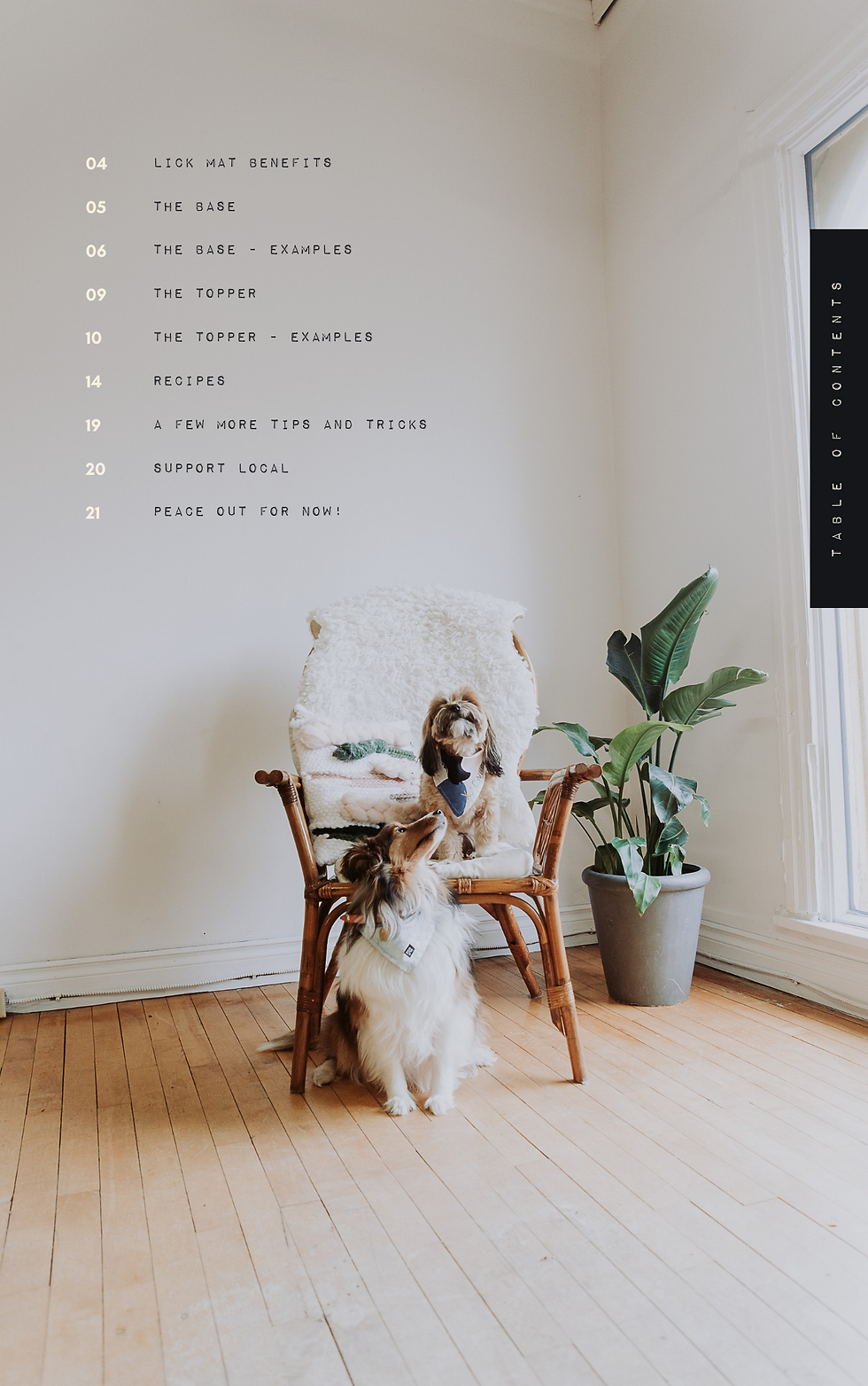 Thumbnail: Lick Mat Recipe Book