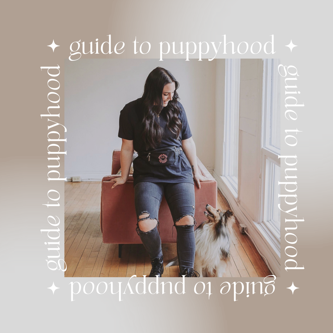A Guide To Puppyhood