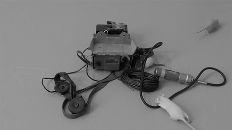 come back sanghee song 3-14.png