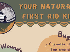Building Your Natural First Aid Kit: Essential Items for Every Adventurer
