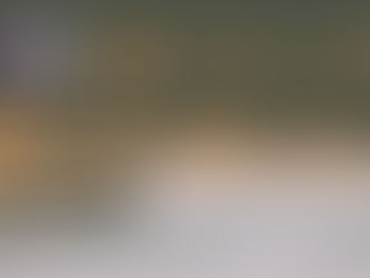 Top 3 Must-Have Essential Oils for Your Road Trip