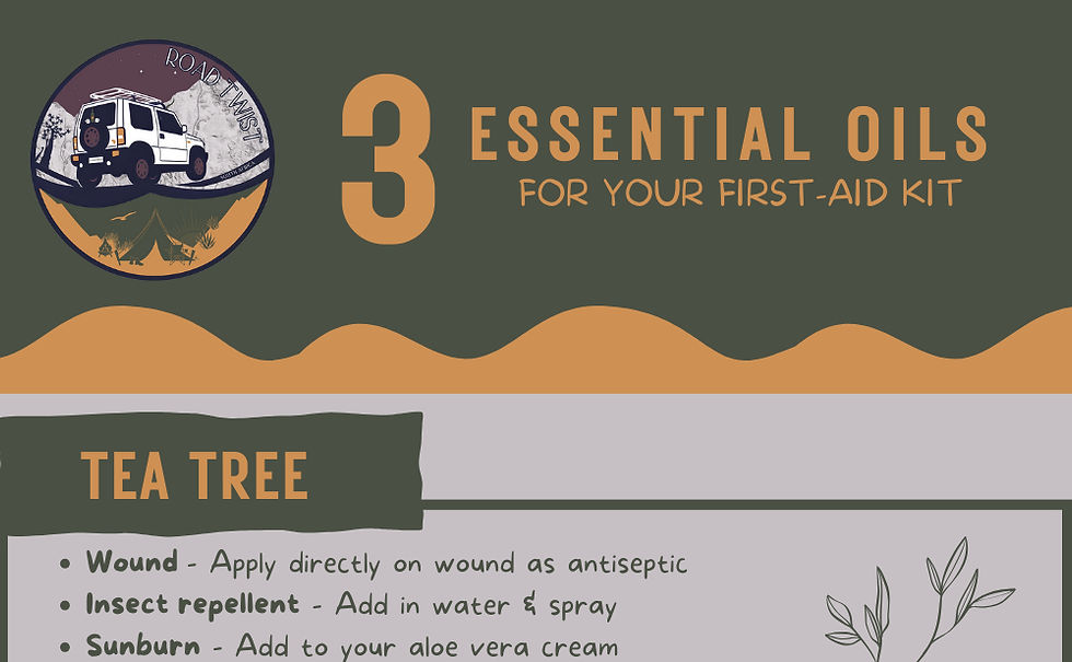 Top 3 Must-Have Essential Oils for Your Road Trip