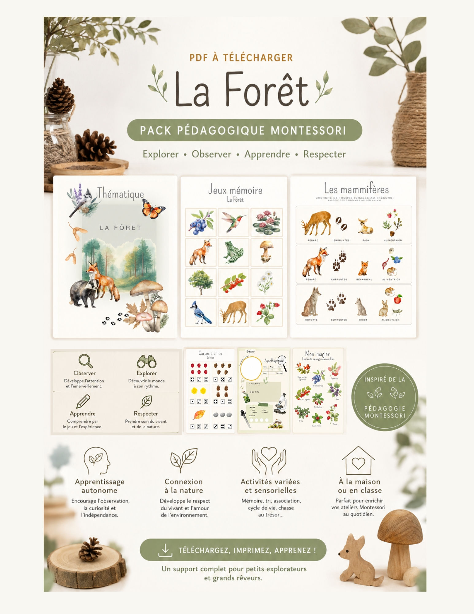 Thématique La fôret