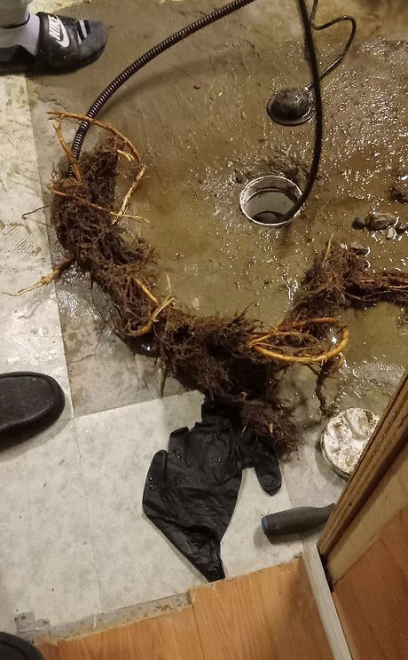 draining-2.jpg