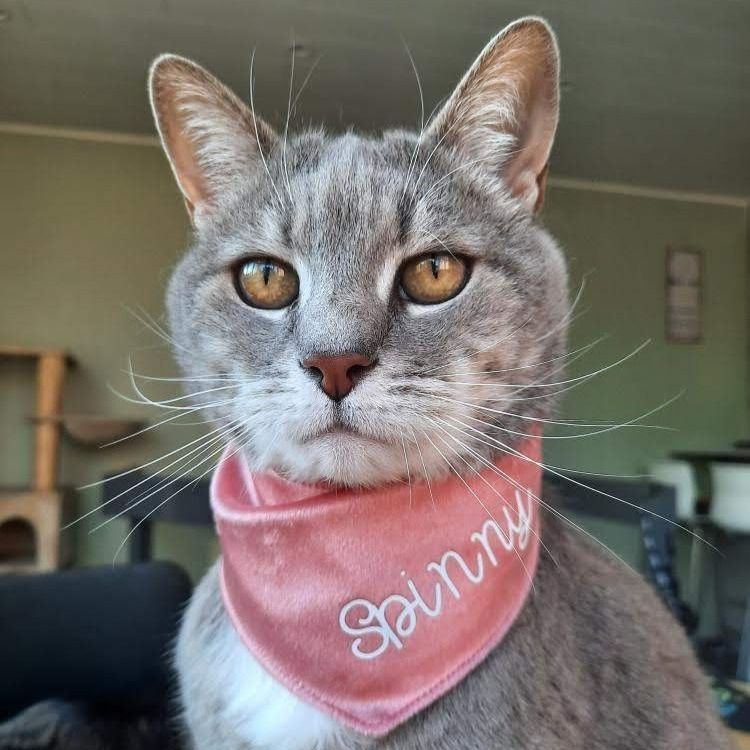 model