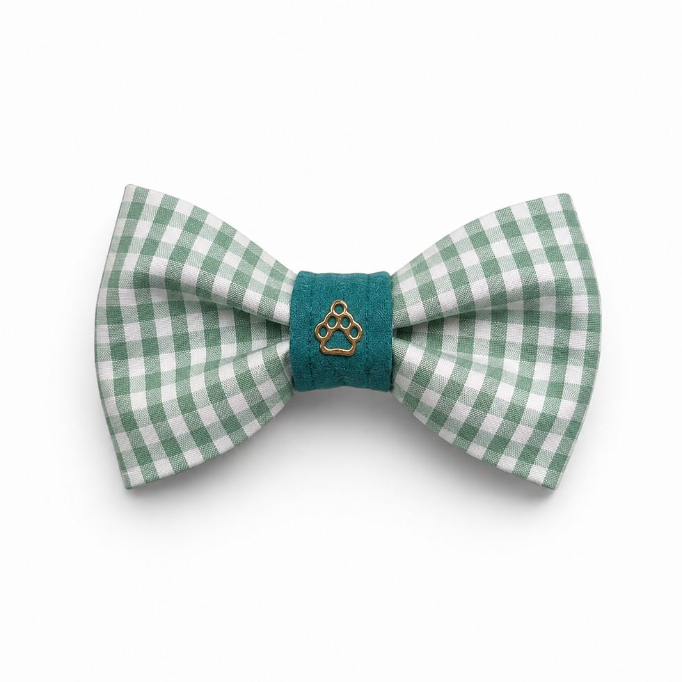 bow tie