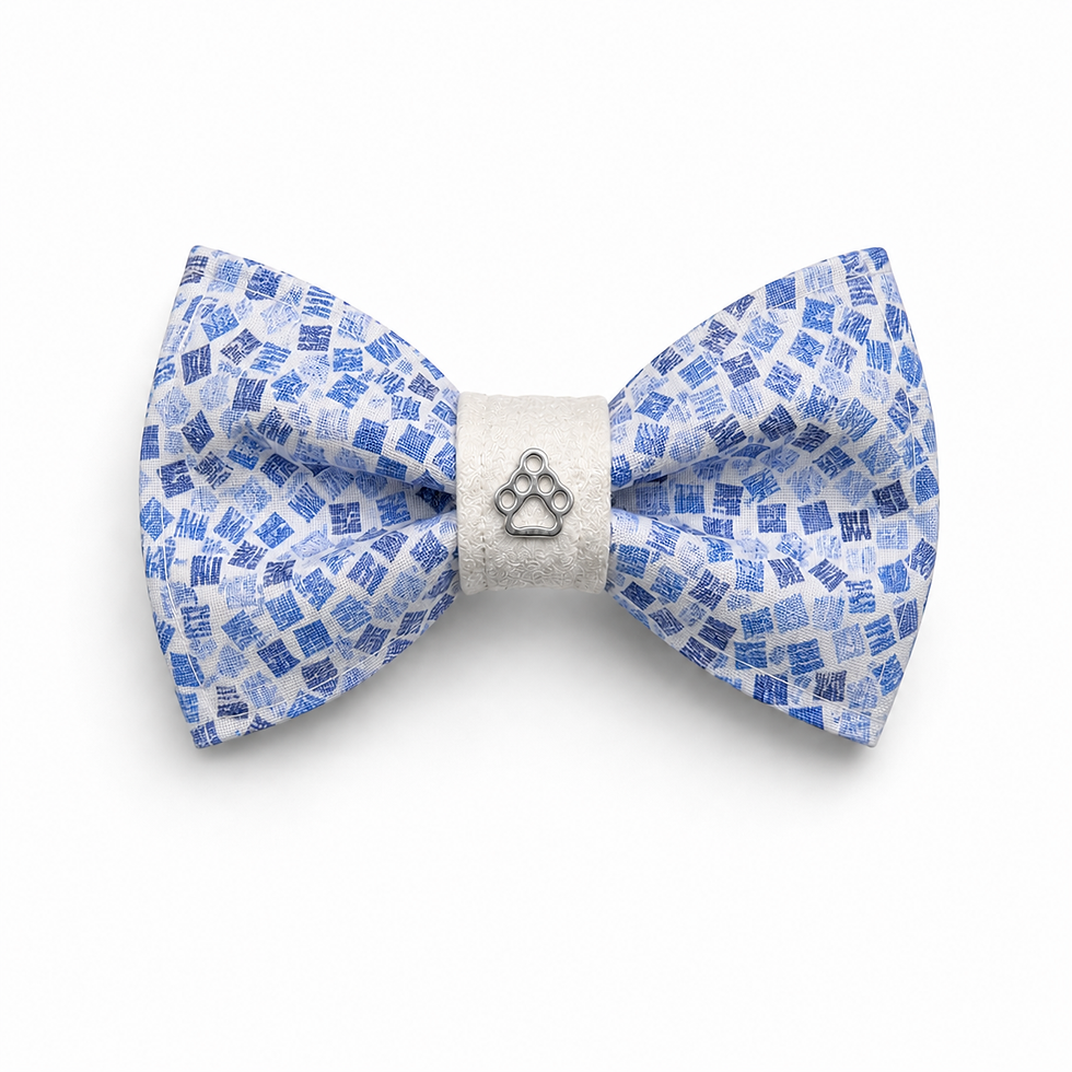 bow tie