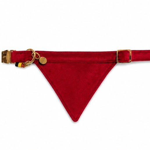 collar