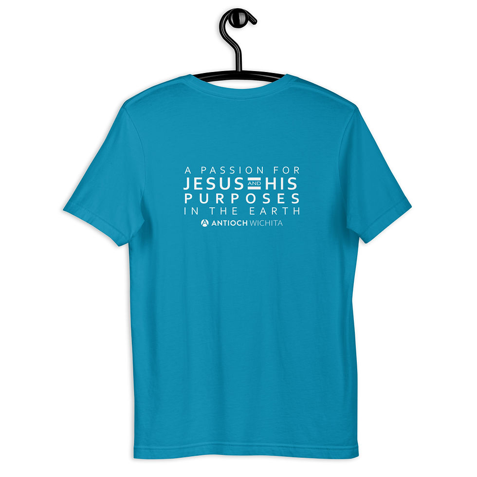 Thumbnail: Unisex T-Shirt (Spiral Corner & Passion Back)