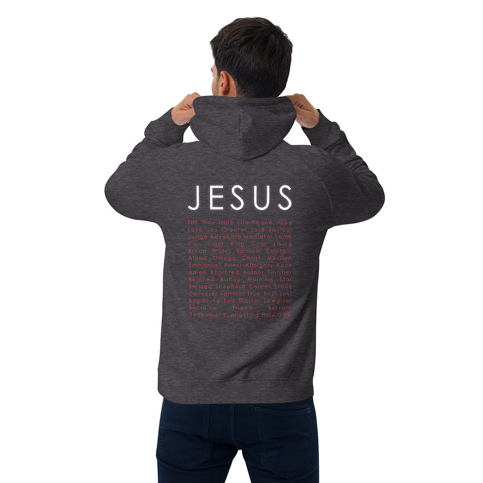 Thumbnail: Take Jesus With You Hoodie