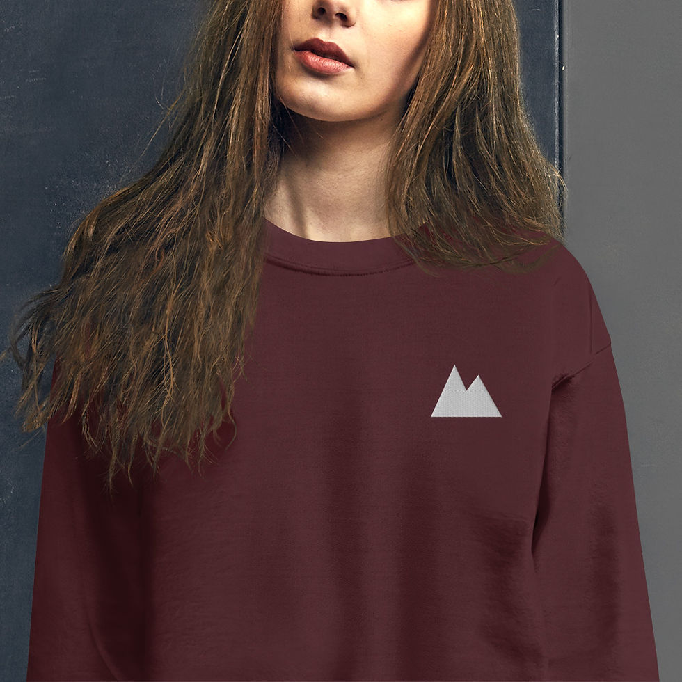Thumbnail: Embroidered Crewneck Sweatshirt