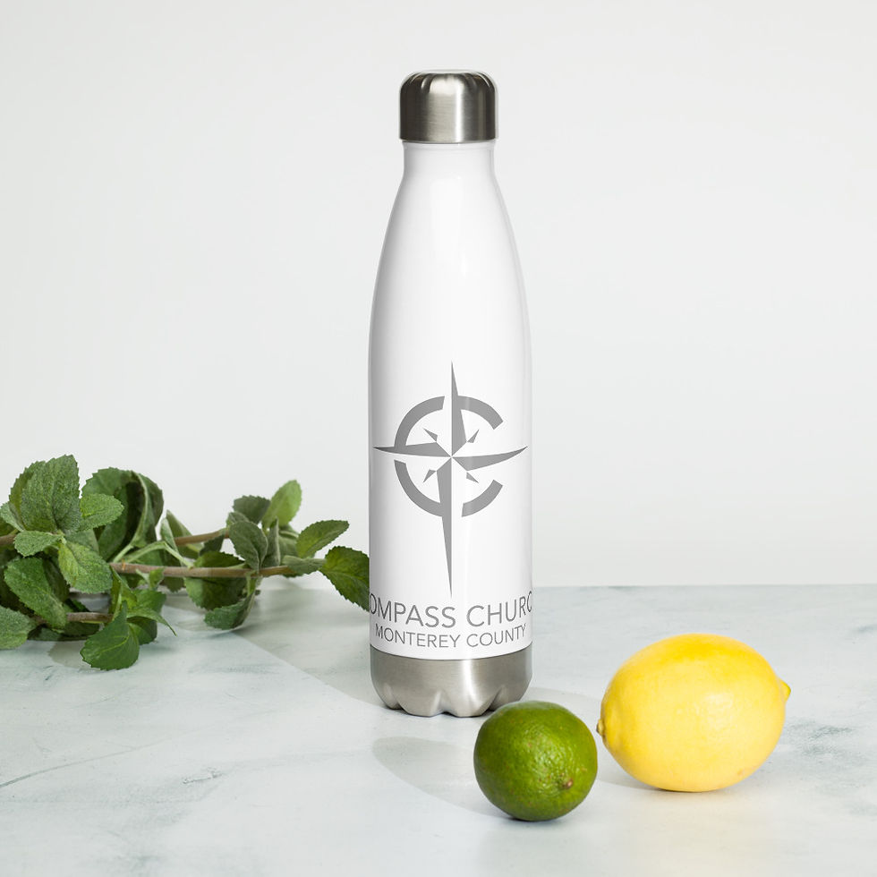 Thumbnail: Compass Stainless Steel Water Bottle