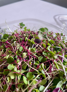 Salad Punch.heic