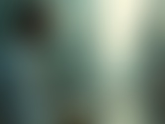 エルフとポップを融合する二胡の魅力