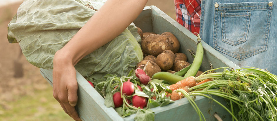 There is nothing more fulfilling than self-sufficiency