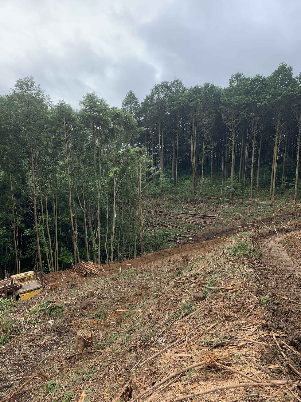 小林市東方12,000㎡着工