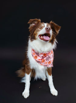 565660559_1253351513498774_1551131472775748739_n