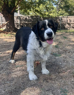 552315503_830198672811197_5651097066932058345_n_edited