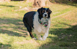 604527570_1307373784763213_148682538165507001_n