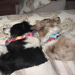 642333850_1363300322503892_2093715476903075297_n