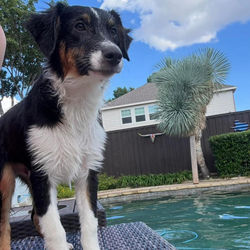 644276331_1362356955931562_9057230693535866368_n