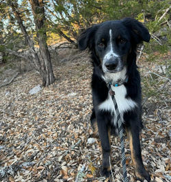 642279954_1363108192523105_4314452044695951451_n