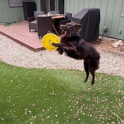 607661502_1312303990936859_7317589194072404411_n