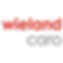 Wieland Caro