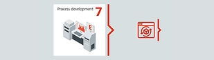 Step 7: Process development