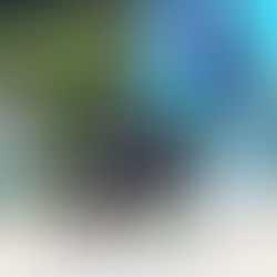 Polka w finale! Najlepszy wynik w historii!