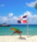 2018 Dominican Republic