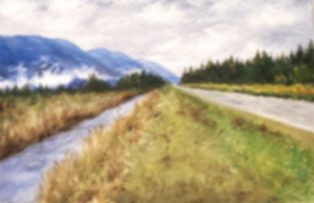 Beautiful Rainy Day in Vancouver (Pitt Meadows)