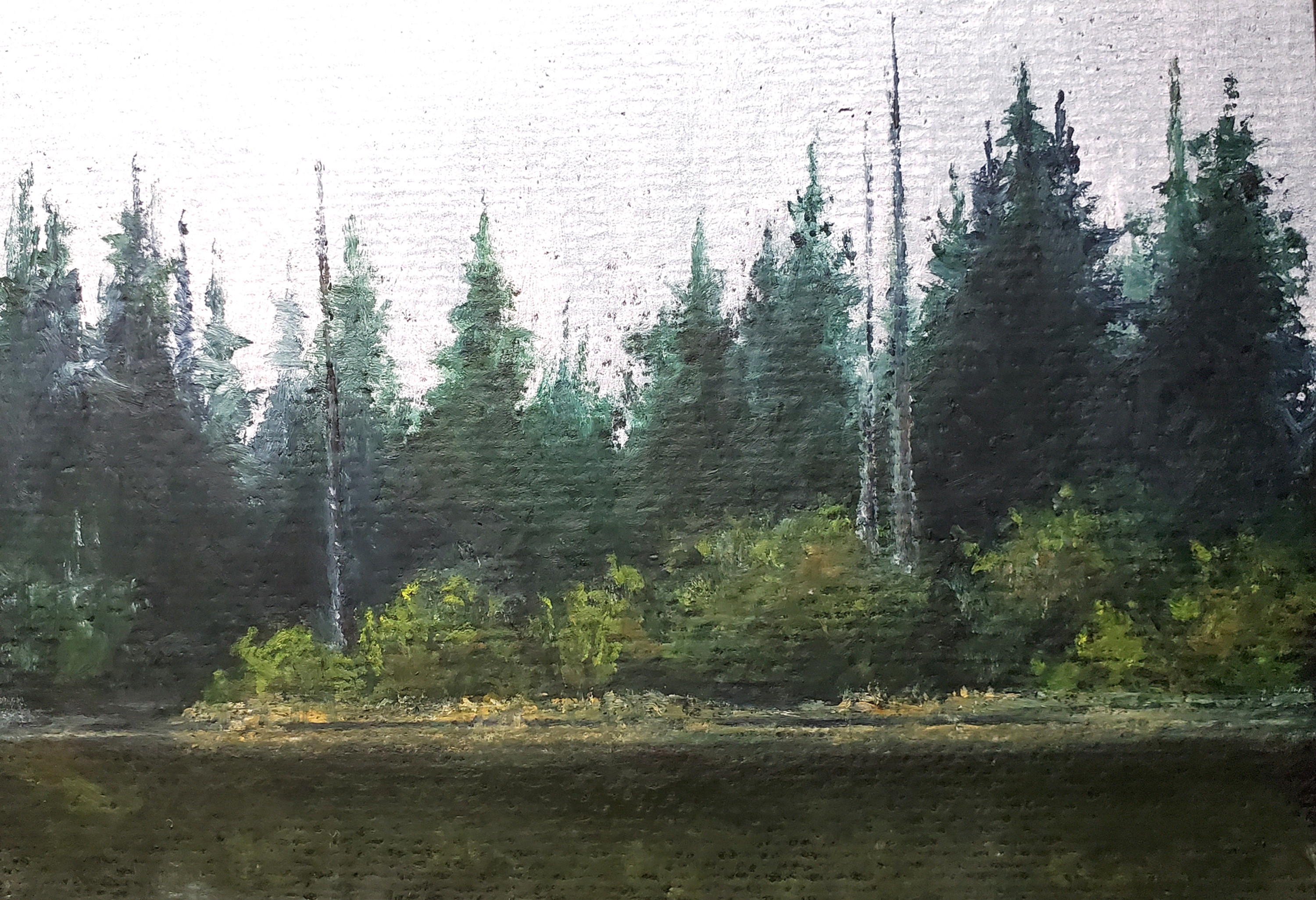 Lost Lagoon Stanley Park