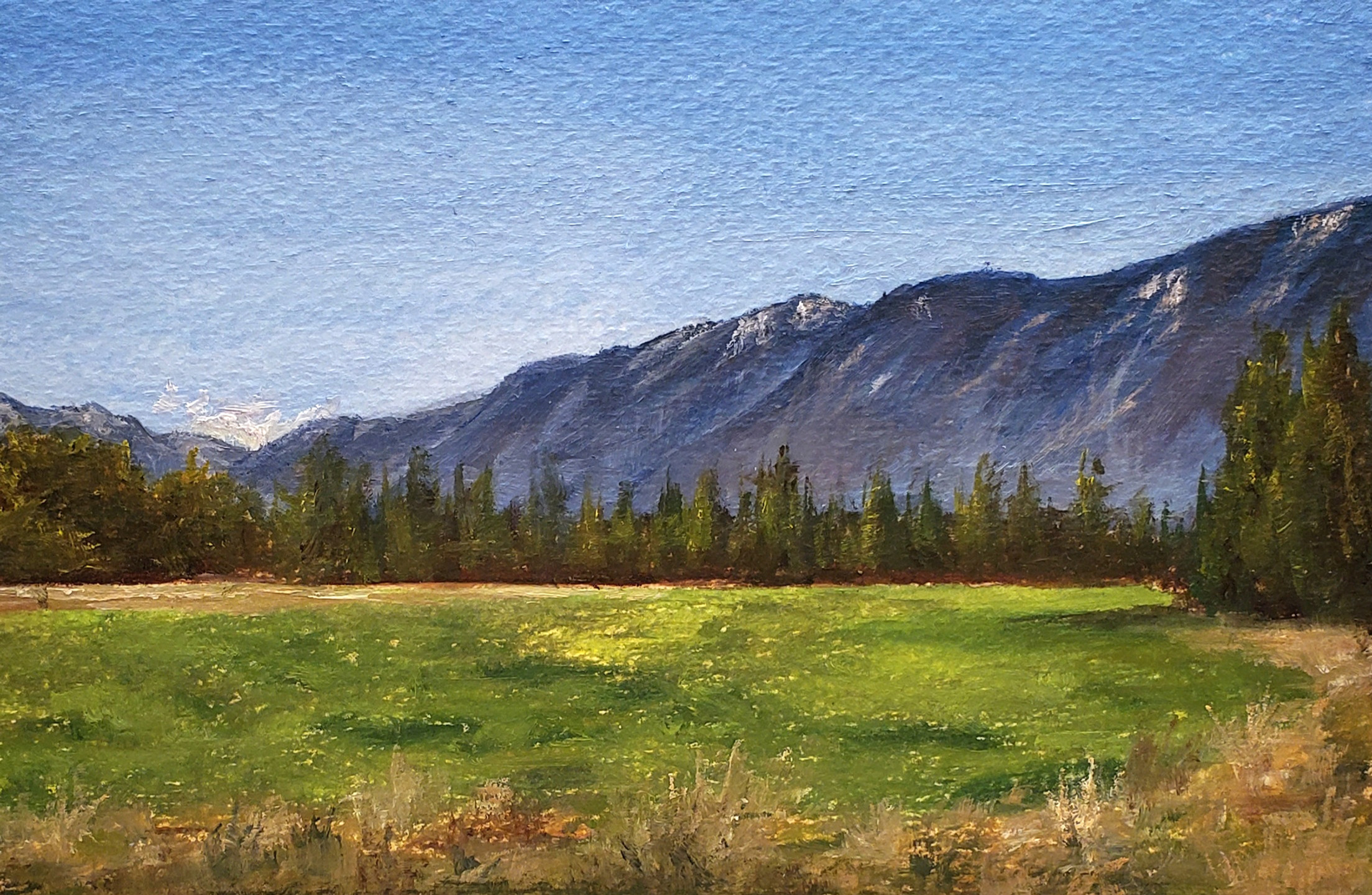 Valley Field - British Columbia